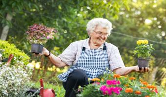 Senior-Friendly Gardening Tips